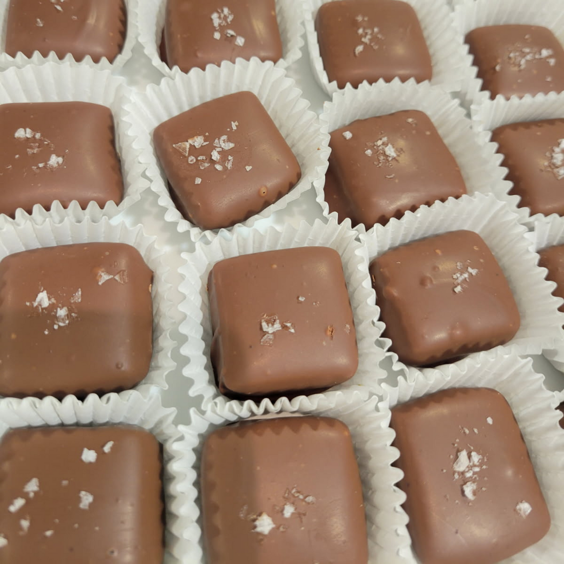 Milk Sea Salt Caramels (Elegant Gift Box of 4)