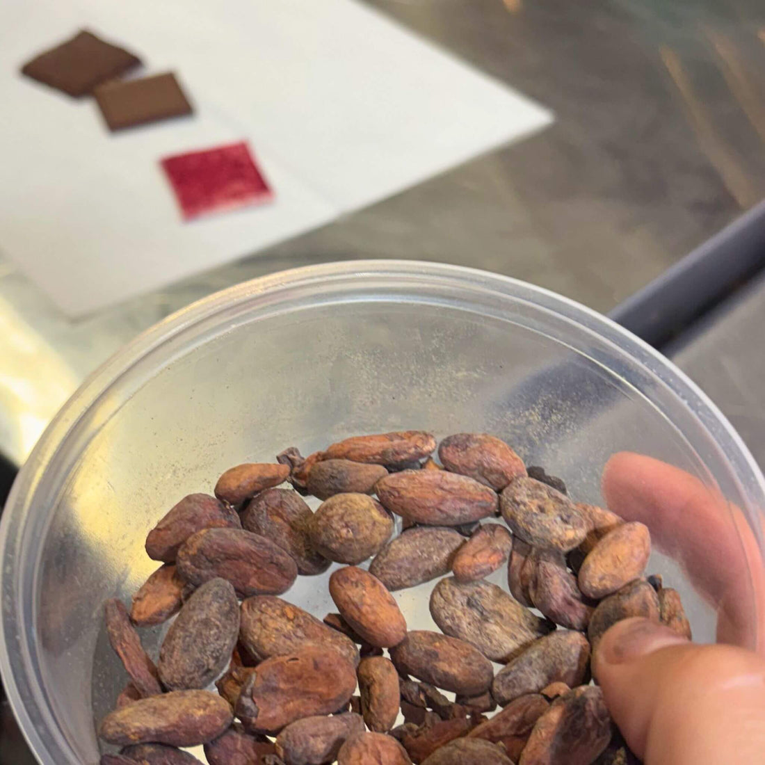 Chocolate Factory Tour & Guided Tasting