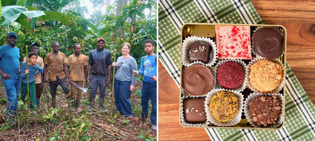 Bibamba's cacao farm in Cameroon and a box of their artisan chocolate handcrafted in Colorado